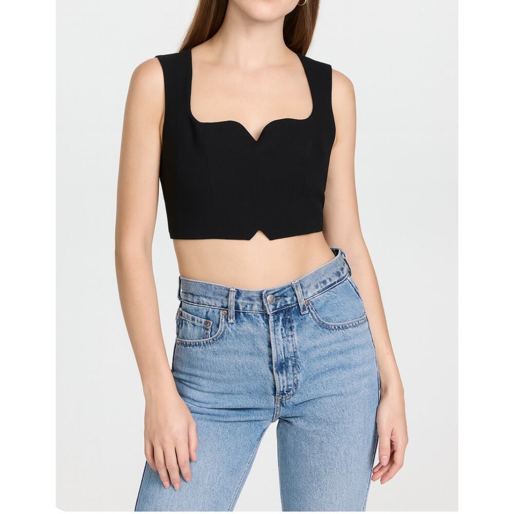 Par Violet Sweet Liberty Sweetheart Neckline Full Exposed Zip Back Crop Top XS
